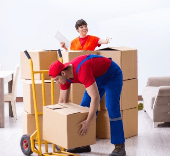 Service Provider of House Shifting in New Delhi, Delhi, India.