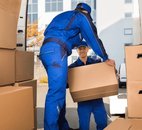 Service Provider of Local Shifting in New Delhi, Delhi, India.