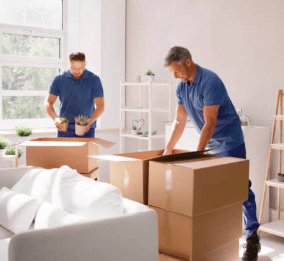 Service Provider of Packers and Movers in New Delhi, Delhi, India.